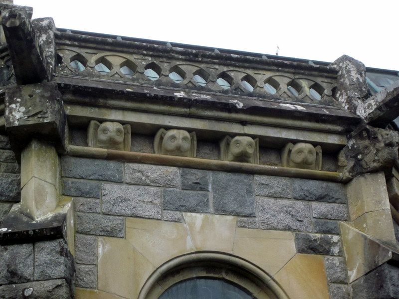 owls