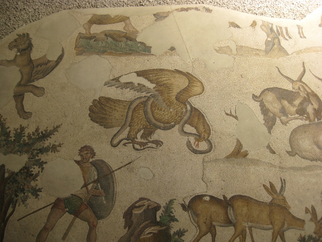 eagle and snake