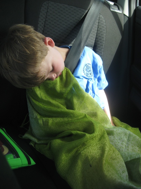 eero nap