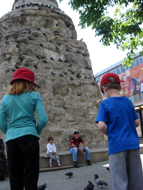 tower of pigeons