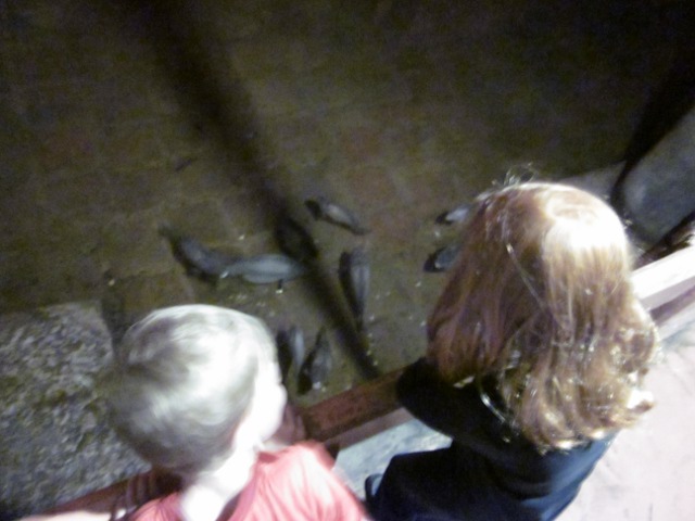 Cielo and Eero looking down at fish