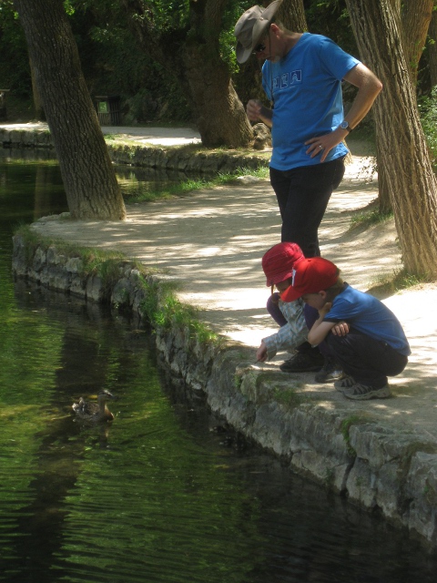 Peering at ducks