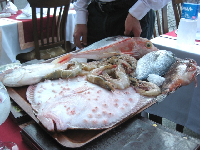 today's catch