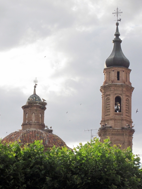 storks on towers