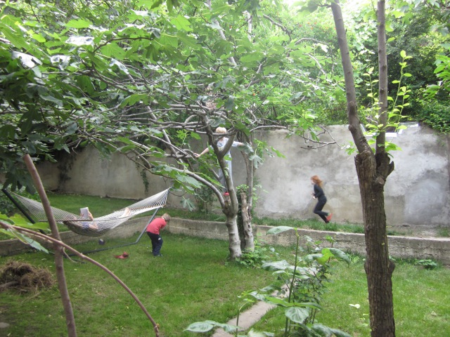 Kirsten's back yard