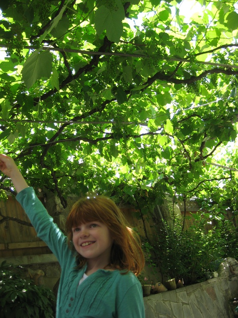 Cielo and grapes