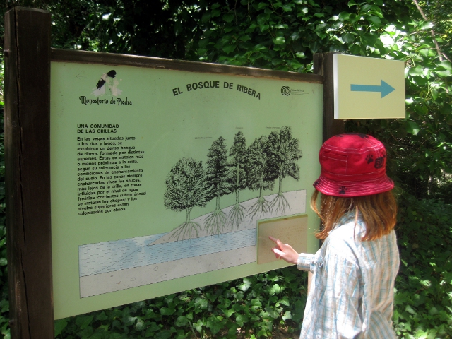 trees sign