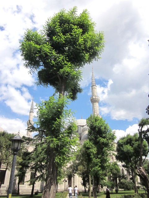 Suleymaniye Mosque