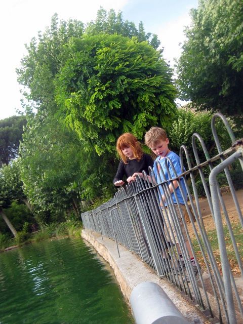 kids peering over