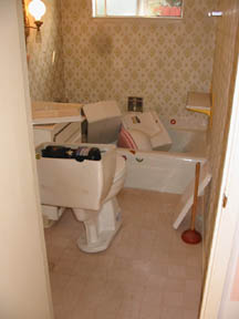 toilet in bathtub, another one on the move, curtains removed