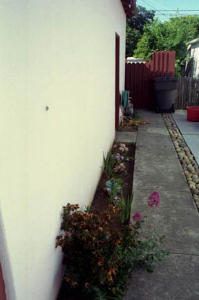 Before any changes - pink (looks yellow) wall, red gate, plastic flowers