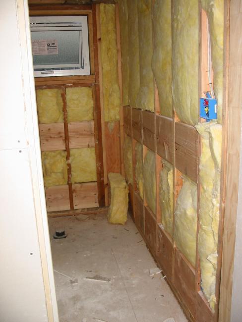 bathroom with insulation showing
